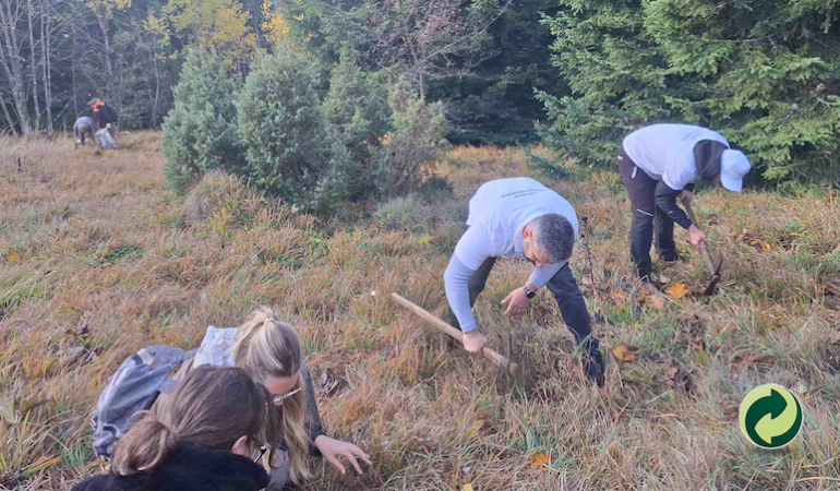 01 posumljavanje.png