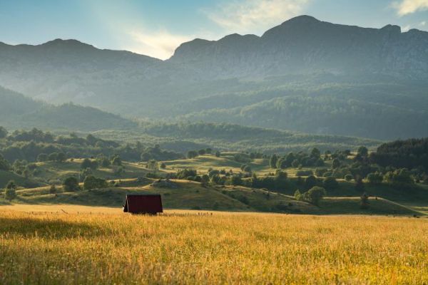 Ekopak učestvovao u razvoju strategije i akcionog plana za Bosnu i Hercegovinu (BiH ESAP 2030+)