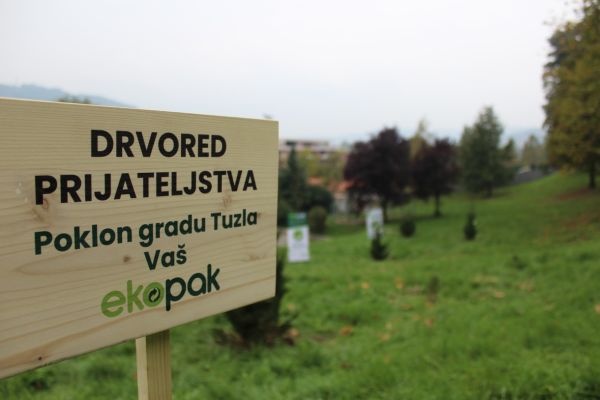 Conifer trees were planted in Tuzla as part of the celebration of ten years of Ekopak business
