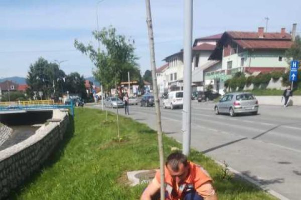 Ekopak planted an alley in Gracanica as part of the World Environment Day celebration