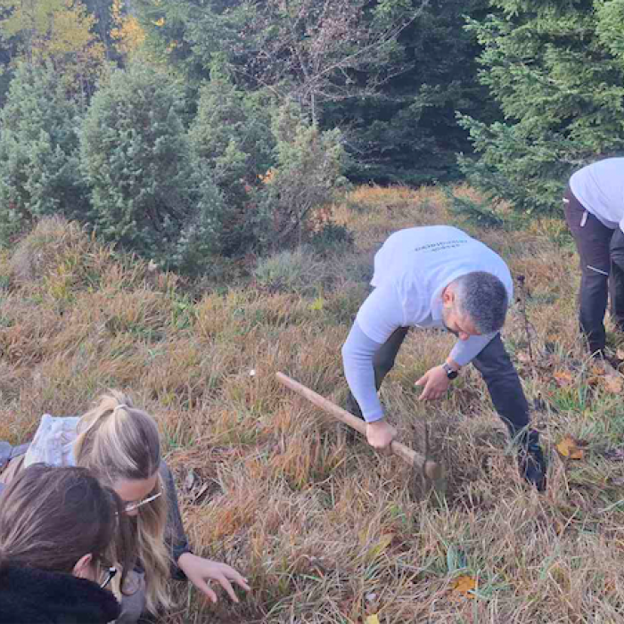 01 posumljavanje.png