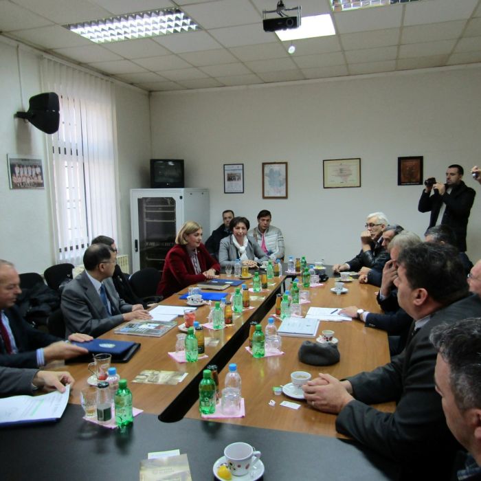 IMG_0089 (Large).JPG